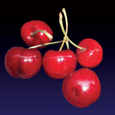 Image of La cirasi (Cherries) print - 2022 edition