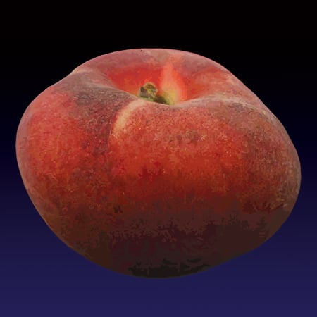 Image of La persica tabacchiera (The peach) print - 2022 edition 