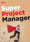 Project Manager 