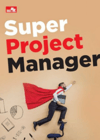 Project Manager