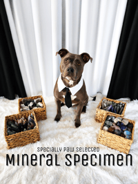 Image 1 of Mineral Specimen - The Pitbull Picks 