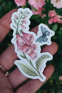 Dainty Visitor Sticker/Decal 2"x3"