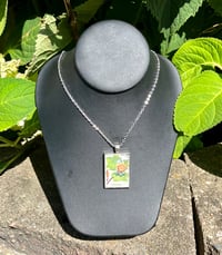 Image 3 of Yellow Poplar