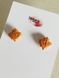 Image 4 of Earrings | Aretes Maple Leaf Studs