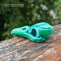 Fancy Bird Skull - Malachite