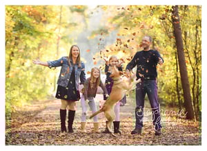 Image of 2025 Holiday Minis