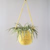 Yellow crocheted hanging basket
