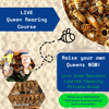 Live Queen Rearing Course