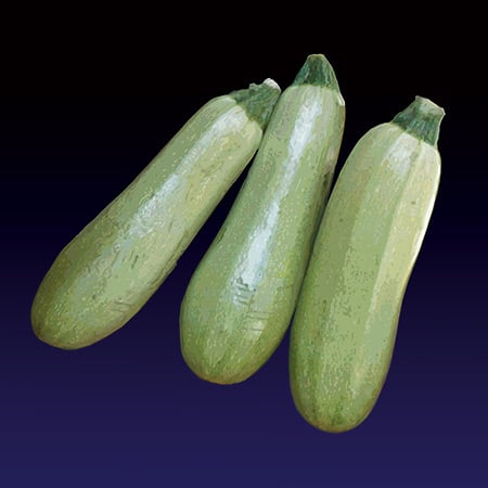 Image of I cucuzzeddi di friiri (Zucchini) print - 2022 edition