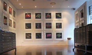 Image of A pullanchella (Maize) print - 2022 edition