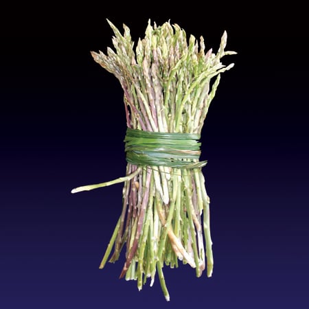 Image of I spàraci (Asparagus) print - 2022 edition