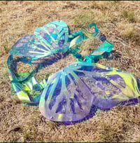 Image 1 of Holographic Butterfly Wings