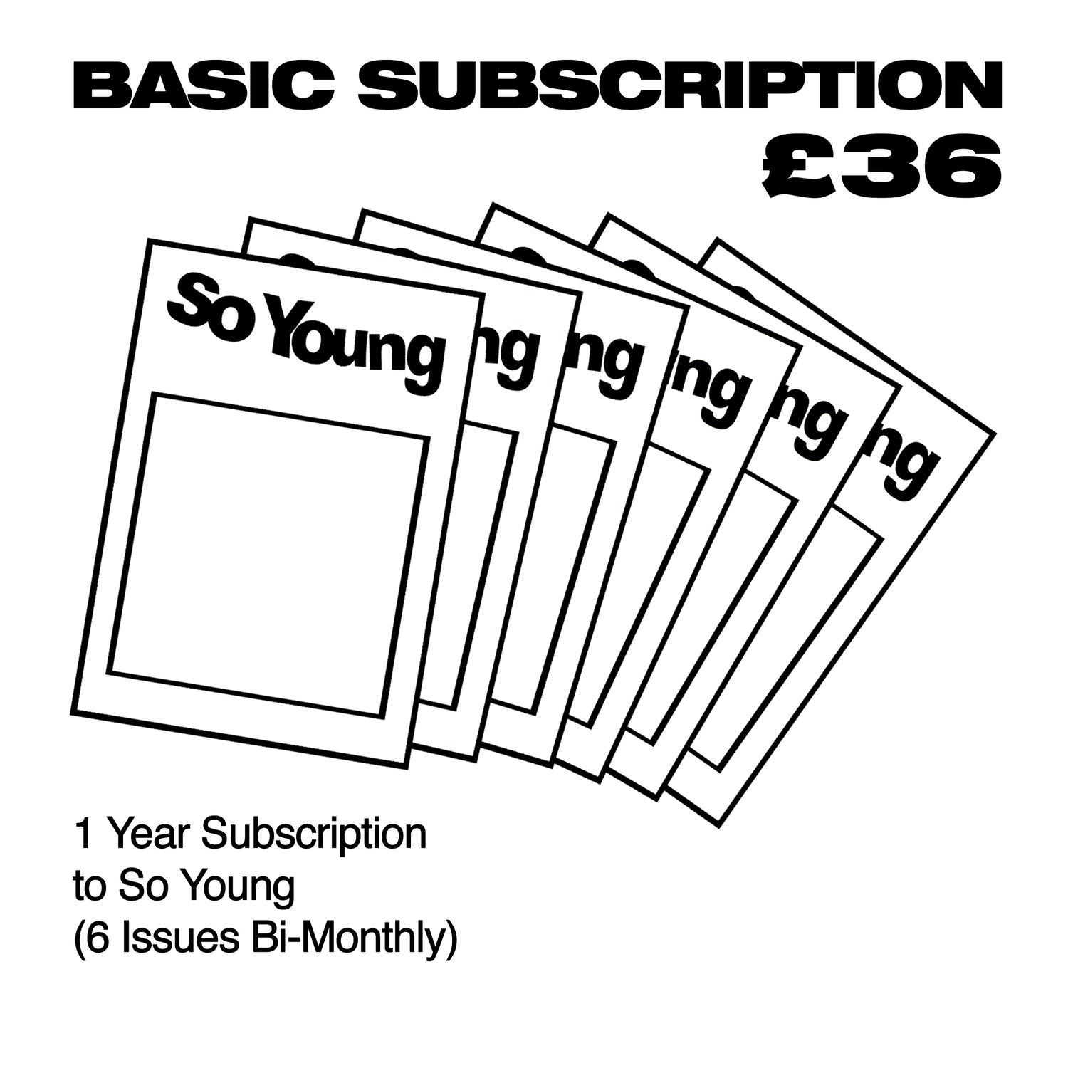 Image of Basic Subscription