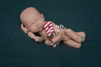 Image 4 of Christmas candy cane