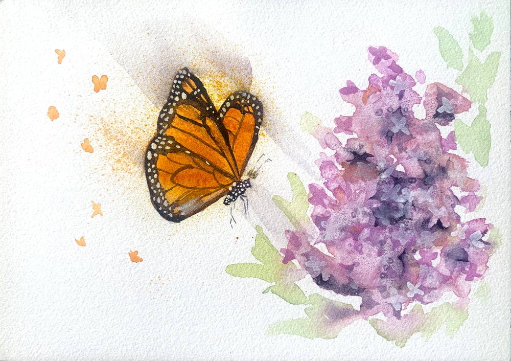 Image of Monarch Butterfly and Lilac