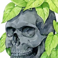 Image 3 of Skull with Neon Pothos Vine Original
