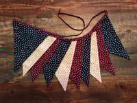 Image 1 of Star Spangled-1