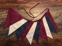 Image 1 of Star Spangled-2