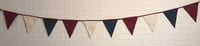Image 2 of Star Spangled-2