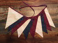 Image 1 of Star Spangled-3