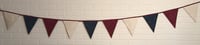 Image 2 of Star Spangled-3