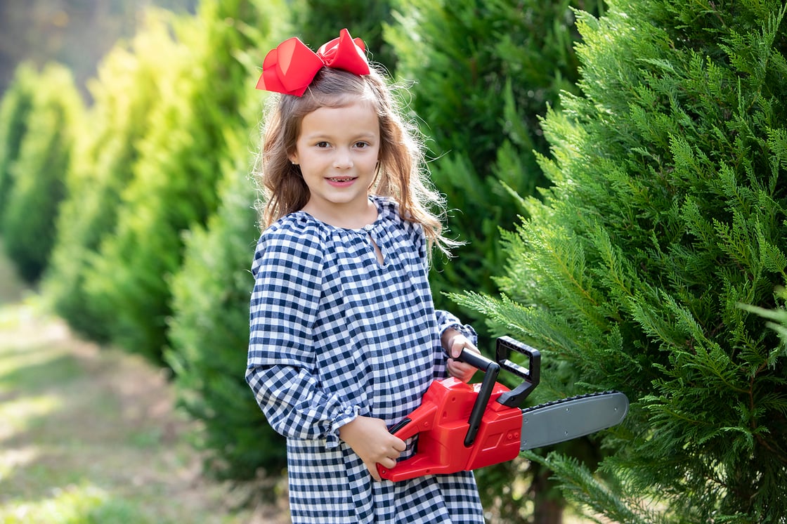 Image of  CHRISTMAS TREE FARM mini session