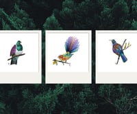 Image 1 of Stained Glass Prints Collection