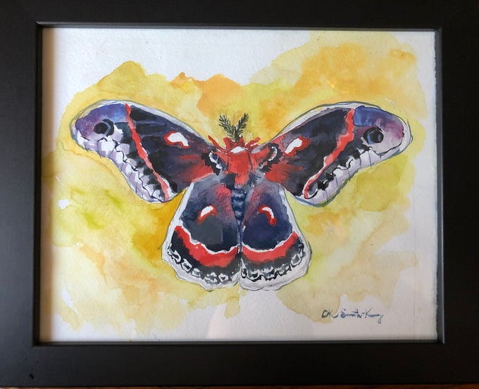 Image of Watercolor Moth Print
