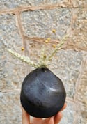 Florero espiral. Spiral flowerpot