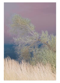 Image of MYTHOLOGIES III. LES MÉTAMORPHOSES tirage de tête - 2