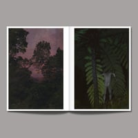 Image of MYTHOLOGIES III. LES MÉTAMORPHOSES tirage de tête - 2