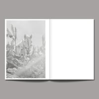 Image of MYTHOLOGIES III. LES MÉTAMORPHOSES tirage de tête - 2