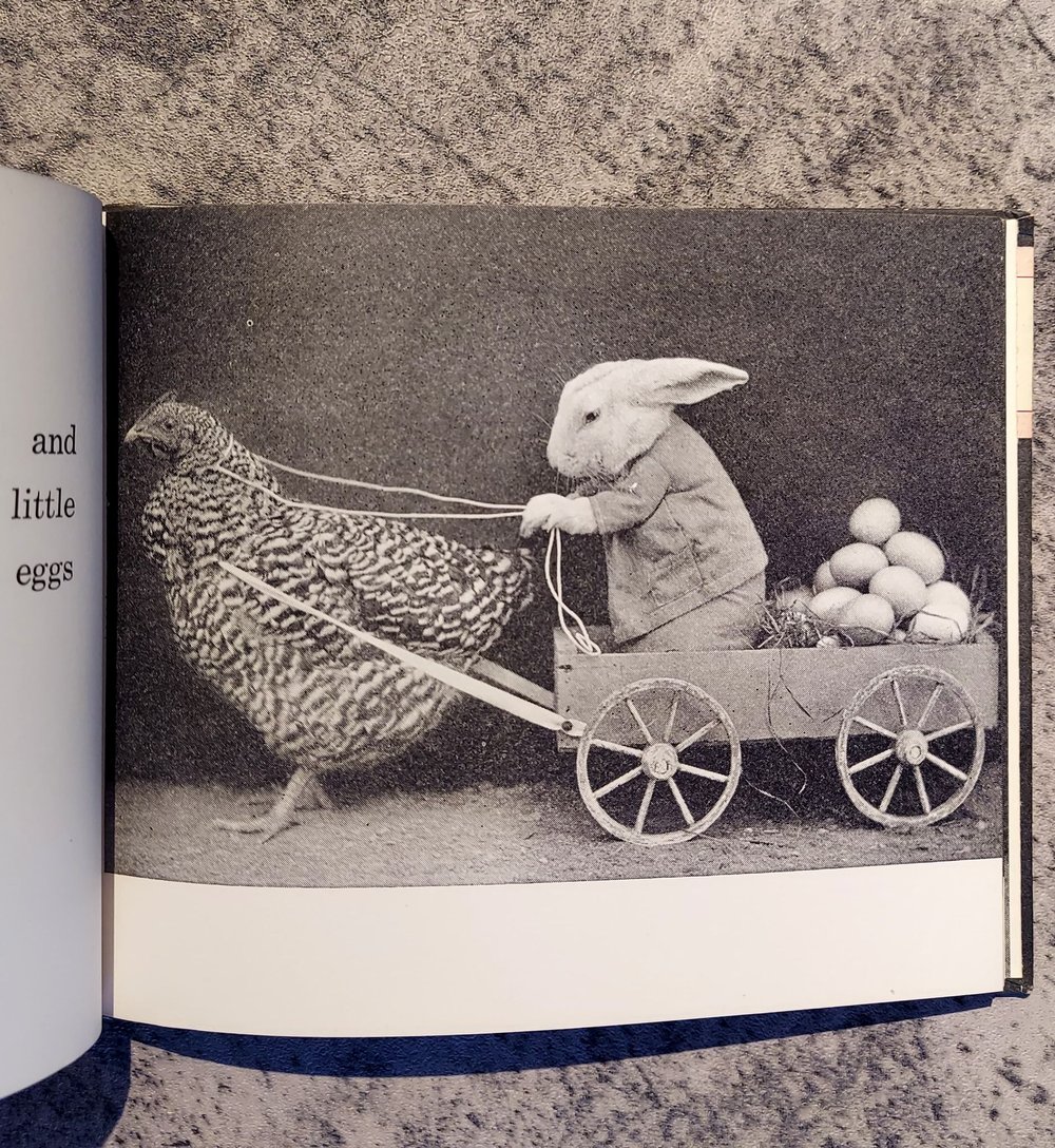 Four Little Bunnies, by Harry Whittier Frees (1935)