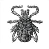 Bugged
