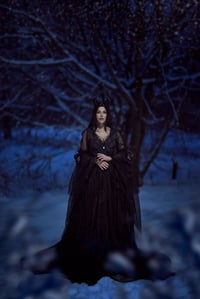 Image 3 of Black moon gown