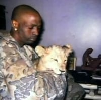 Image 4 of “Tiger in Harlem Project" 