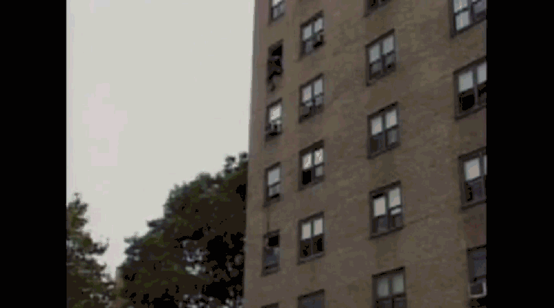 Image of “Tiger in Harlem Project"