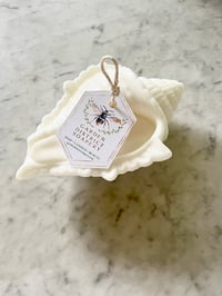 Image 1 of Rosemary Conch Shell Sculptural Soy Candle 