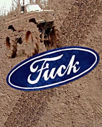 Image 2 of FUCK RUG