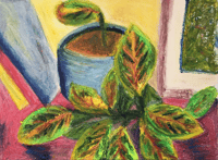 Image 1 of Natalia's Houseplant