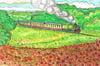 Severn Valley steam train and poppy field