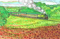 Severn Valley steam train and poppy field