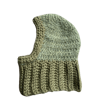 fern 