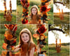 Fall Swing Minis