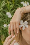 BRAZALETE OLIVO