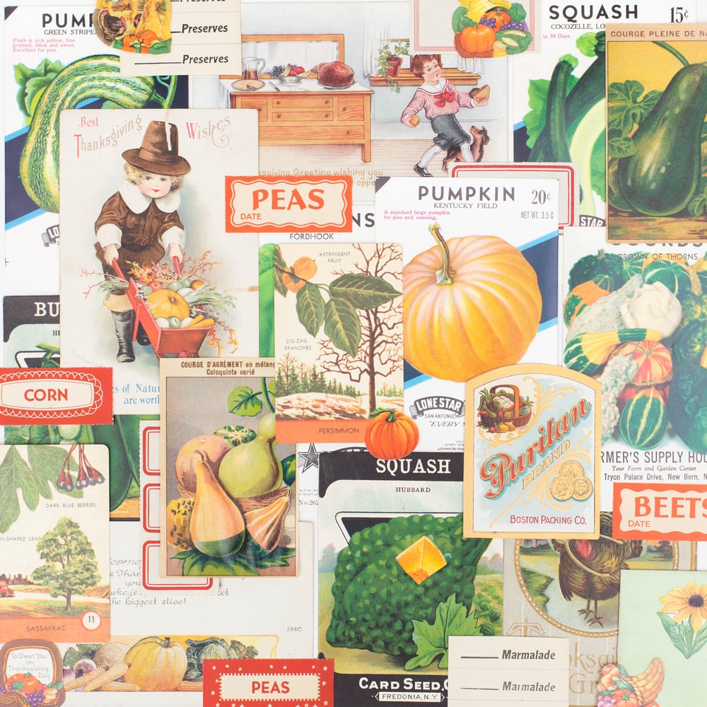 Image of Fall Harvest Ephemera Collection