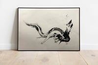 grabado axolote