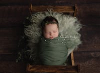 Image 2 of One Hour Swaddle Session $499