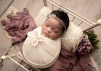 Image 5 of One Hour Swaddle Session $499
