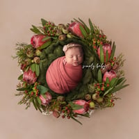Image 4 of One Hour Swaddle Session $499